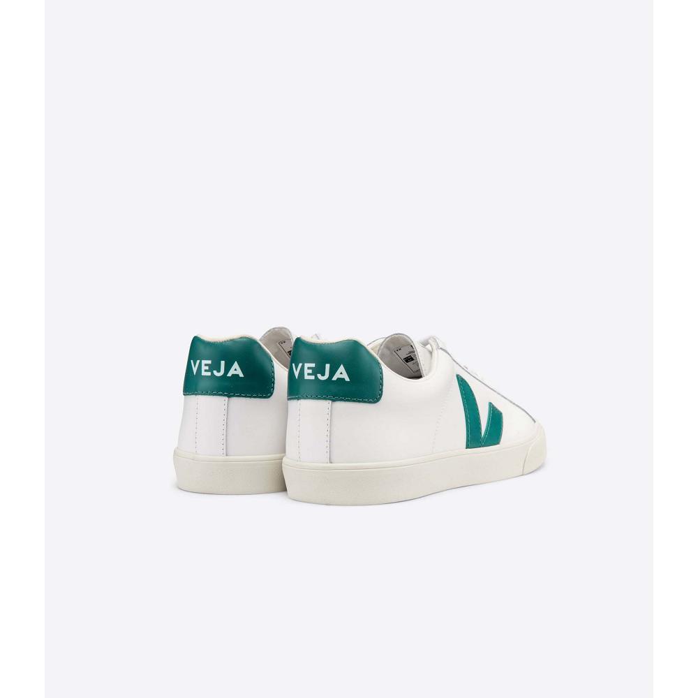 Men's Veja ESPLAR LEATHER Sneakers White/Green | ZA 305ZUT